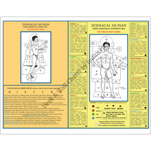 Load image into Gallery viewer, Judith Hill_Zodiacal Human