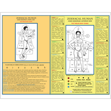 Load image into Gallery viewer, Print-Glossy-11x14-20260814170057408
