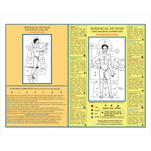 Load image into Gallery viewer, Print-Glossy-16x20-20260814165206686
