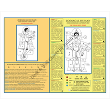 Load image into Gallery viewer, Print-Glossy-16x20-20260814165206686
