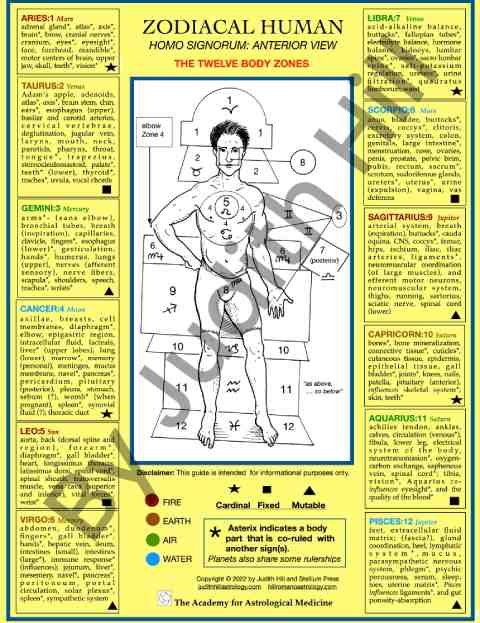 9X12 Medical Astrology Detailed